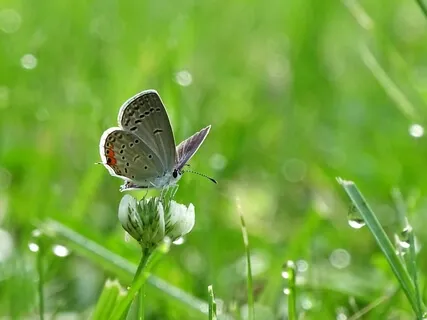 Moving Through Apathy & Grief: Levels Of Consciousness