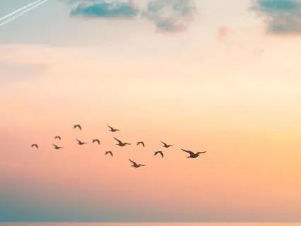 Moving Through Grief: An Emotionally Healing Practice