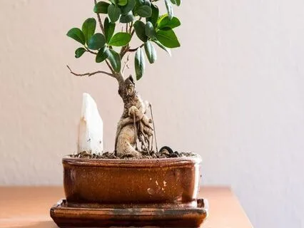 Moving Through Grief