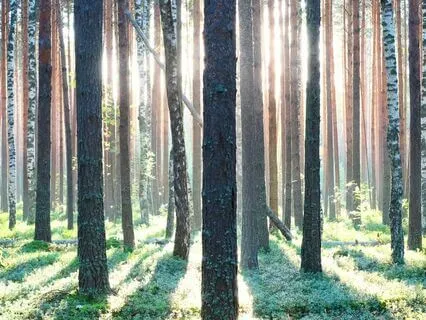 Moving Through It - A Guided Meditation For Clarity