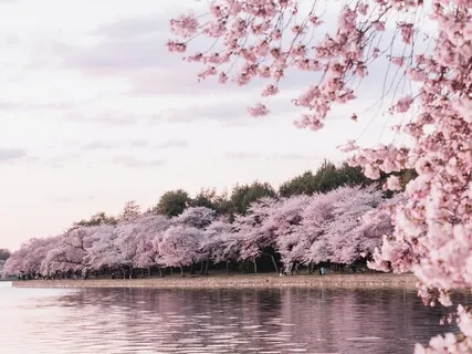 Moving Through The Emotion Of Anger - Movement & Meditation