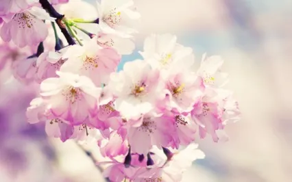 Moving Through The Pain Of The Past To Be Authentically YOU