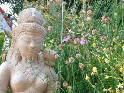 Moving Through The Storms Of The World