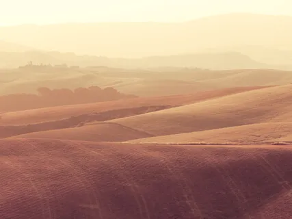 MBSR: Moving Towards Choice-Less Awareness