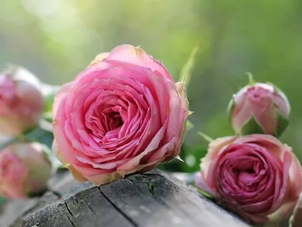 Moving Your Breath To Reduce Your Stress