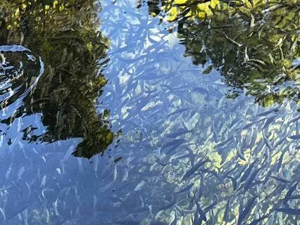 Movingness Meditation, Ground Your Earth Body