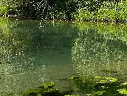 Movingness Meditation- Oscillating Strength & Relaxation