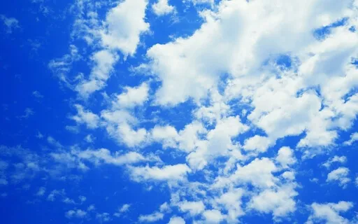 Mr. Beast - Bedtime Story