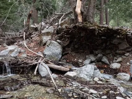 Mt. Baldy Series: Mountain Brook