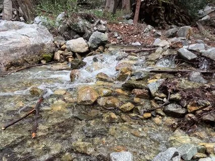 Mt. Baldy Series: Open Brook