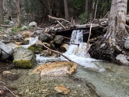 Mt. Baldy Series: Tiny Waterfall