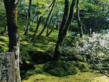 目覚めの瞑想 (Start Your Day)