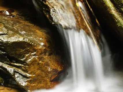 Muditā Meditation: Appreciation As A Path To Joy