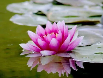 Mudra And Mantra Meditation For The Crown Chakra