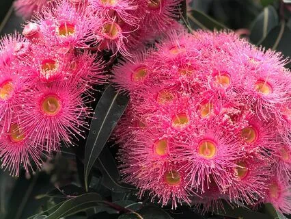 Mudra And Mantra Meditation For The Heart Chakra