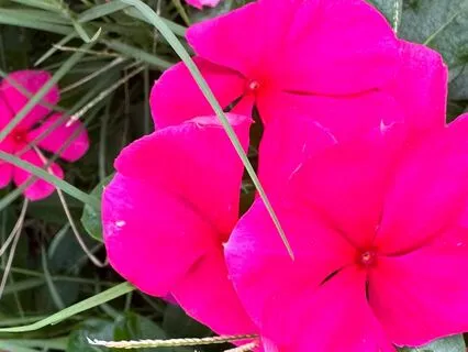 Mudra And Mantra Meditation For The Sacral Chakra