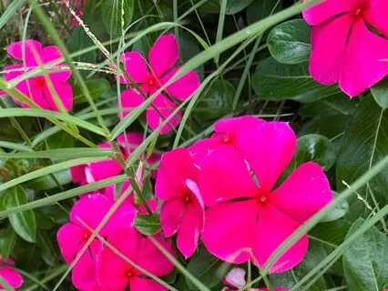 Mudra And Mantra Meditation For The Solar Plexus