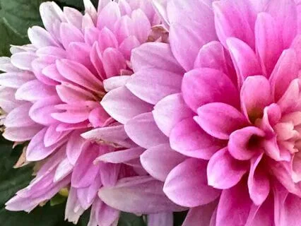 Mudra And Mantra Meditation For The Throat Chakra