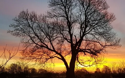 Mul Mantra With Harmonium