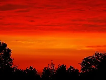 Muladhara/Root Chakra Meditation (Reiki Guided)