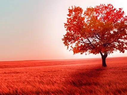 Mulhadhara Chakra Practice