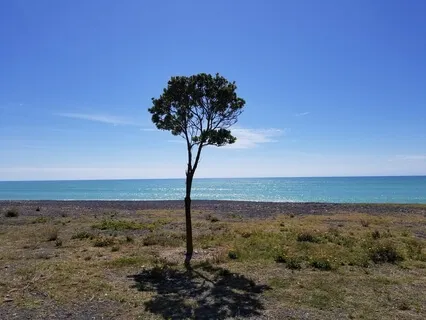 Multi-Dimensional Float