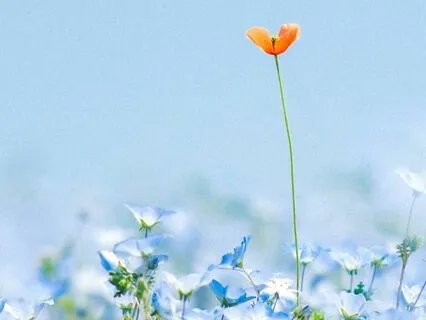 Multi-Tasking Gone Feral