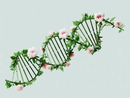 Multidimensional Quantum Healing, Light Language & DNA