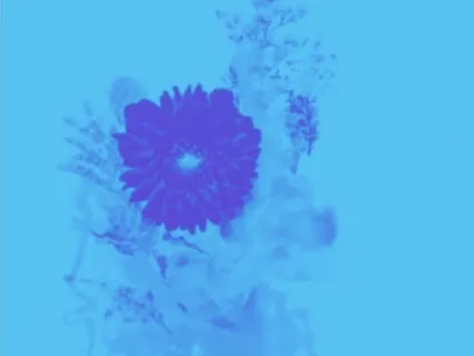 Muse #1 - Sensations