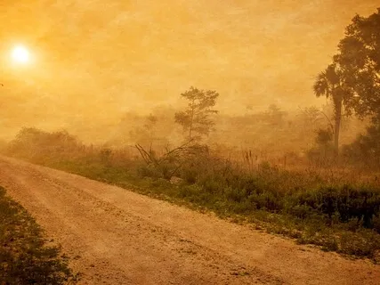 Muse #3 - Synchronisation