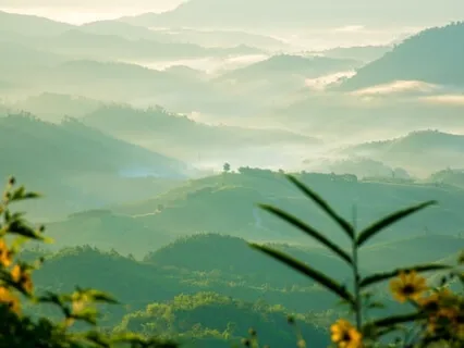 Mushotoku: No Gaining Mind