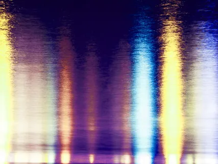 Mushrooms Trip: Digital Trip Experience