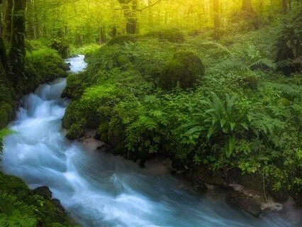 Music: Clarity, Focus And Relaxation (6Hz - 10Hz)