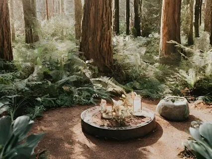 Music: Emotional Restoration & Holistic Wellness (285 Hz)