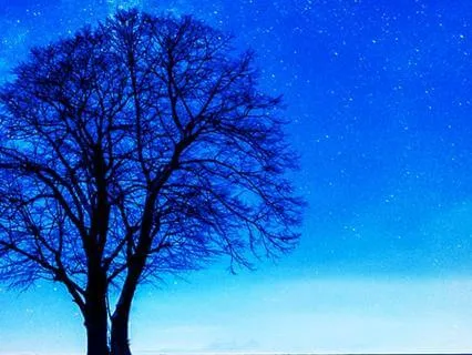 Music et Binauraux - 8 H Sommeil - Binauralmusic 8 H - Sleep