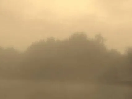 Music For A Busy Head Volume 2