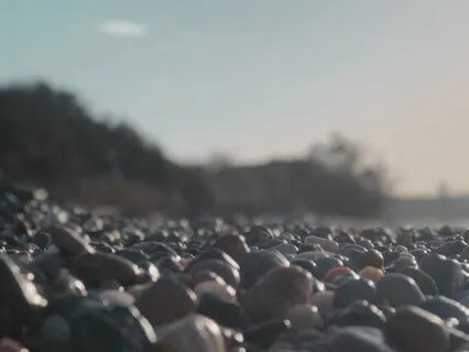 Music For A Busy Head Volume 4