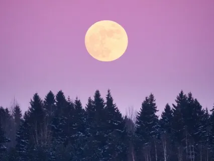 Music For Acceptance - Earthshine