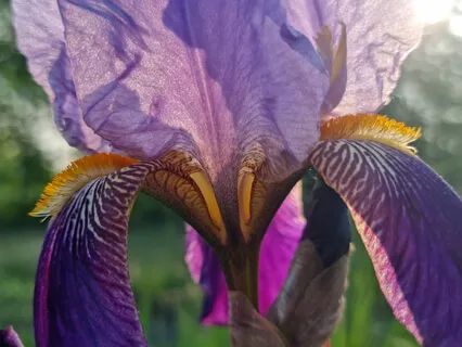 Music For All The People Of The Earth To Live In Peace & Harmony