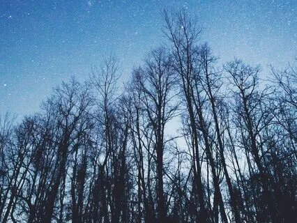 Music For Anxiety - 1. A Little Night Music