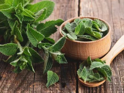 Music For Aromatherapy - Peppermint