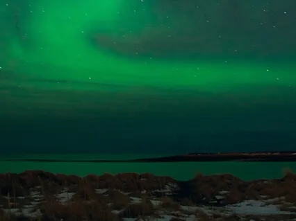 Music For Concentration & Focus While Studying | Study Music