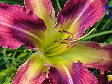 Music for Creativity I