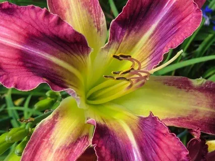 Music For Creativity IV