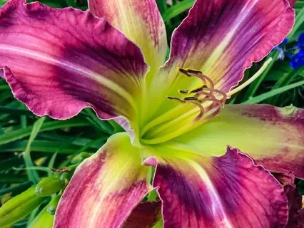 Music For Creativity V