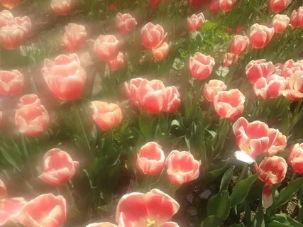 Music For Creativity Volume 1 - Full Album