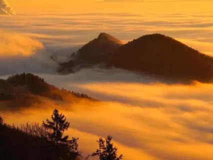 Music for Crown Chakra Healing