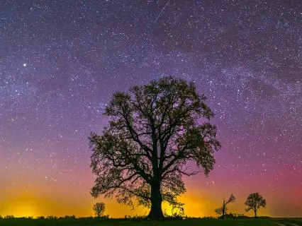 Music For Deep, Restful Sleep (8 Hours)