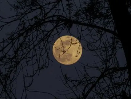 Music For Deep & Restorative Sleep