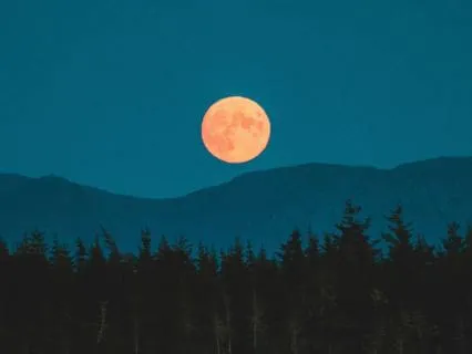 Music for Deep Sleep and Calm Rest 7 Hours